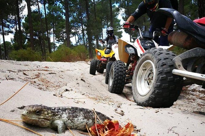 1 Hour Quad Bike Tours, only 30 minutes from Perth - Key Things I’d Plan Around