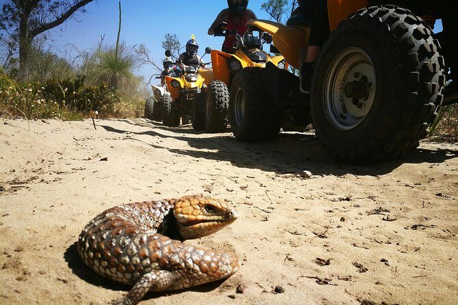 1 Hour Quad Bike Tours, only 30 minutes from Perth - Guide Quality: Why Names Keep Coming Up