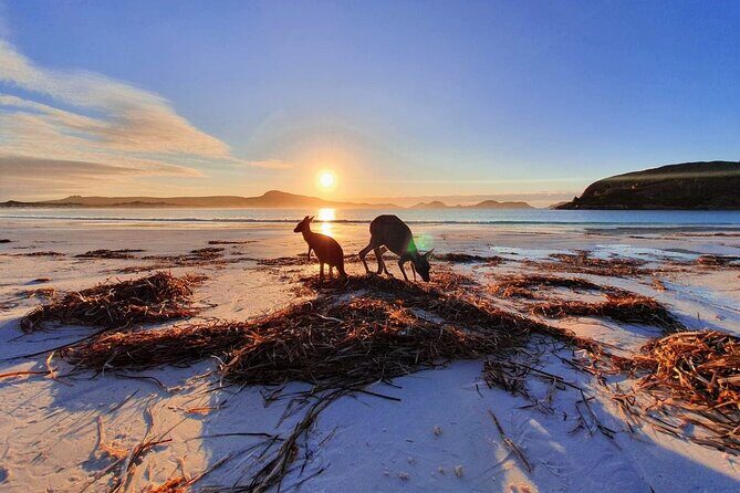 10-Day Perth to Adelaide Adventure Tour - Small group size and transport: why it matters on a route this long