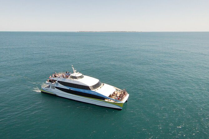 2 Hour Whale-Watching Cruise from Hillarys Boat Harbour - Key points to know before you go