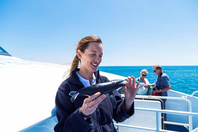2 Hour Whale-Watching Cruise from Hillarys Boat Harbour - The cruise itself: what you’re looking for and how to increase your chances