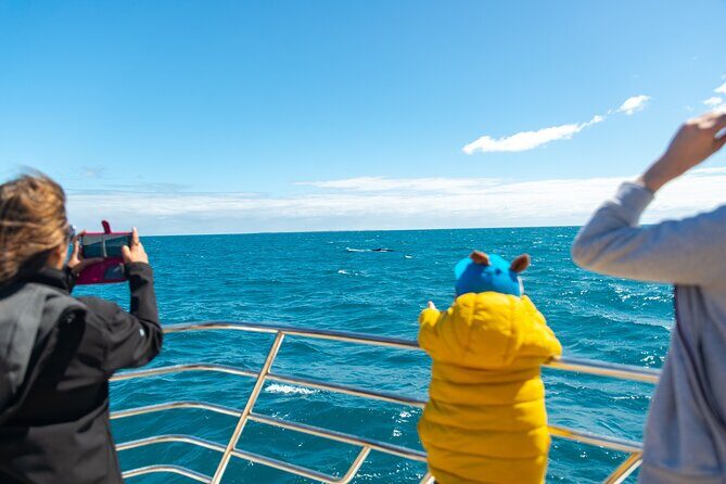2 Hour Whale-Watching Cruise from Hillarys Boat Harbour - The marine biologist commentary: the difference between seeing whales and understanding them