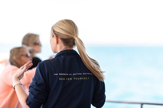 2 Hour Whale-Watching Cruise from Hillarys Boat Harbour - Rottnest Fast Ferries connection: why the operator choice matters