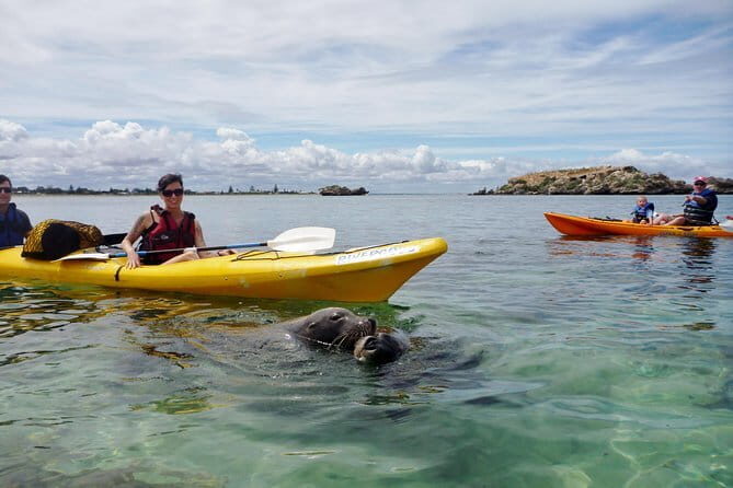 2 hour whale watching experience departing Hillarys Boat Harbour - What the 2-hour timing gives you (and what it doesn’t)