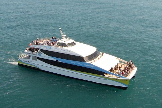2 hour whale watching experience departing Hillarys Boat Harbour - Who should book this Hillarys whale watching cruise