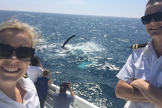 2 hour whale watching experience departing Hillarys Boat Harbour - Three viewing decks and why the boat setup matters