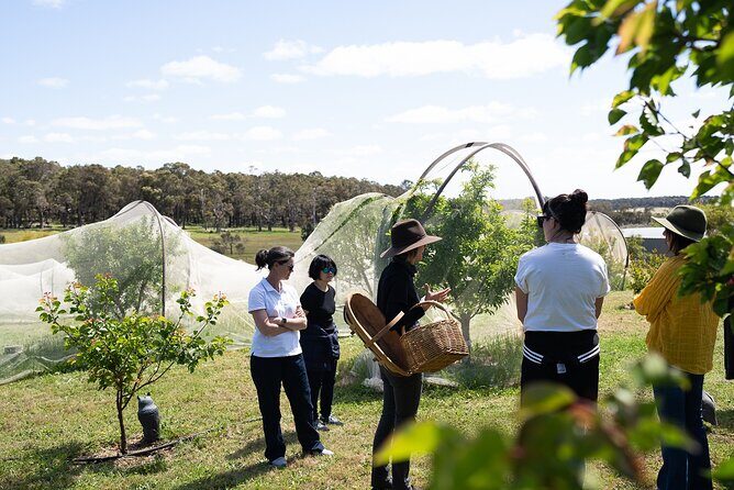 3 Day Margaret River Yoga Wellness Glamping Adventure From Perth - Day 3: sound meditation, biodynamic winery tasting, Meelup Farmhouse, and Origin Markets before Perth