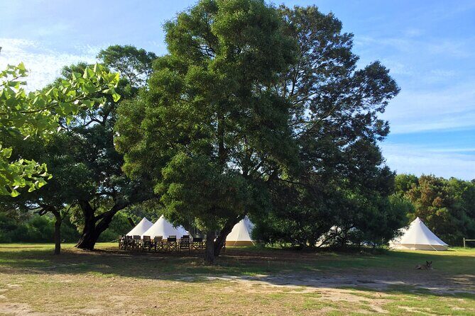 3 Day Margaret River Yoga Wellness Glamping Adventure From Perth - Food and tastings: how the included meals support the wellness goal