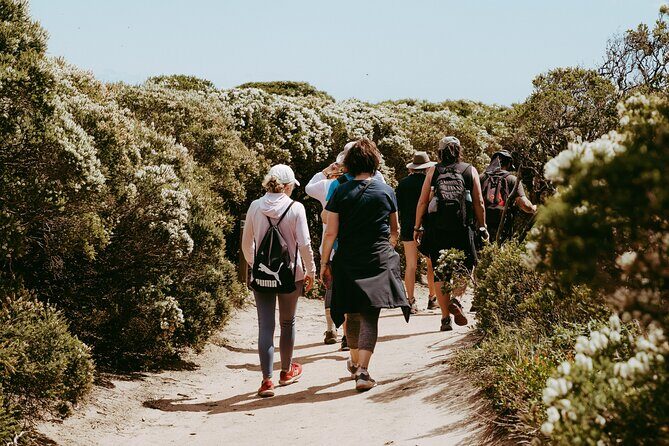 3 Day Margaret River Yoga Wellness Glamping Adventure From Perth - Price and value: what $1,000.55 covers in real terms