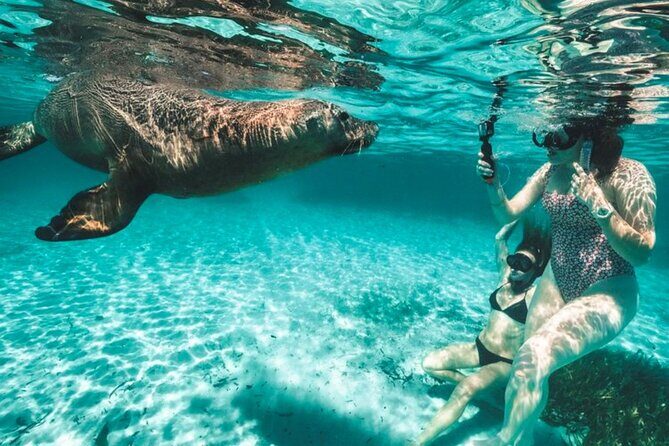 3 Island Wildlife Snorkel - Key reasons this snorkel trip works
