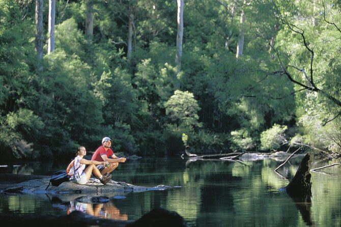 4 Day Albany Margaret River, Valley of the Giants Tour from Perth - Meals, lodging, and comfort: what’s actually included