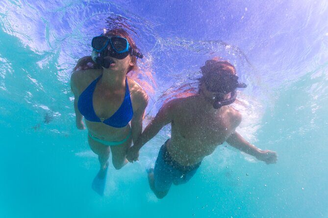 6-Day Coral Coaster from Perth to Exmouth One-Way via Monkey Mia Ningaloo Reef - The long road days: what to expect between Kalbarri, Monkey Mia, and Coral Bay