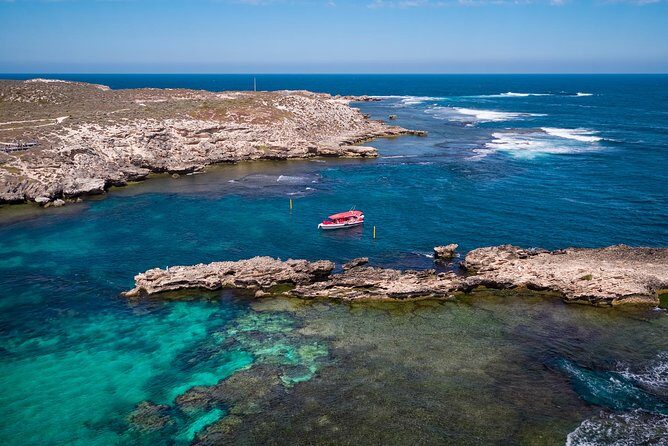 Adventure Rottnest Tour with Ferry & Adventure Cruise - Key highlights you’ll feel in real life