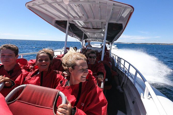 Adventure Rottnest Tour with Ferry & Adventure Cruise - The 90-minute wildlife cruise: seals, dolphins, and fast turns