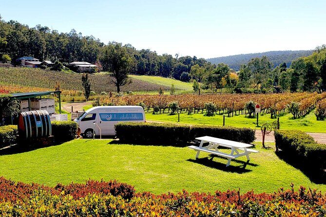 Bickley Valley Wine, Cider & Gin Tour - Premium Small Group Tour - Quick take: what makes this Bickley Valley tour worth your time