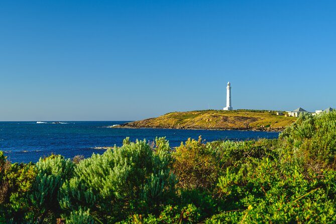 Busselton, Margaret River and Augusta 2-Day Tour from Perth - Busselton Jetty: 1.81 km of Wooden Fun (and the Train Option)