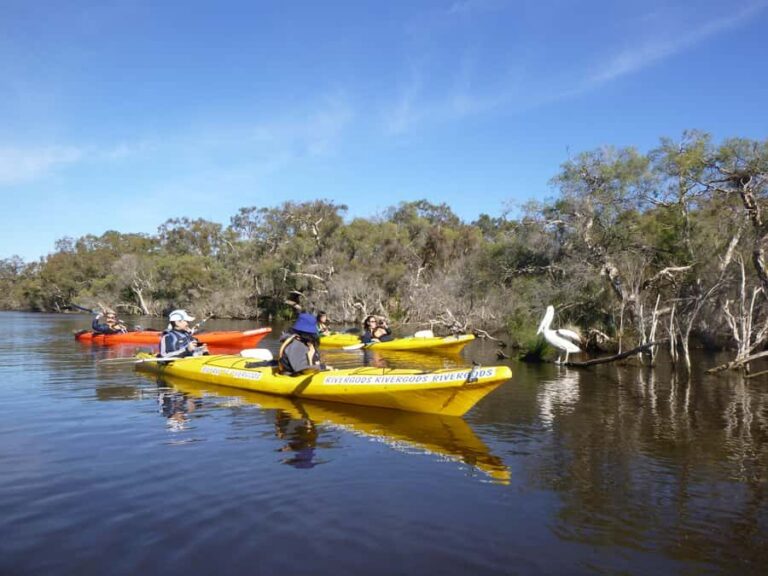 Canning River Half-Day Kayak Wildlife Tour - Getting started right: trailers, life jackets, and first strokes