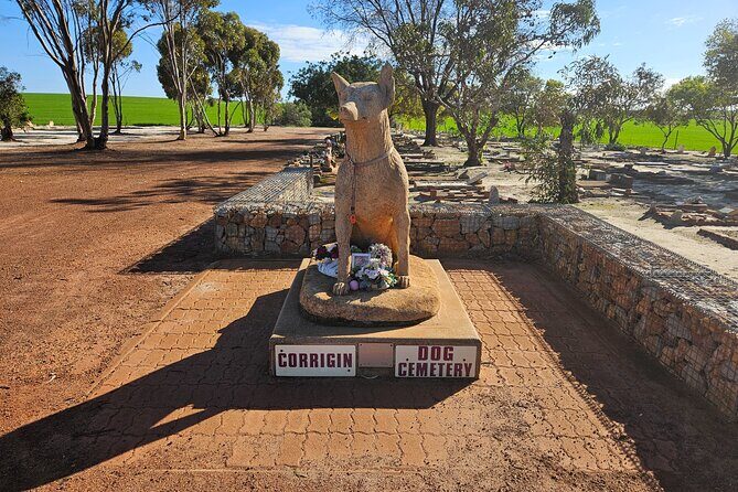 Day Tour in Wave Rock and Mulka's Cave - From Perth pickup to the wheatbelt country that sets the mood