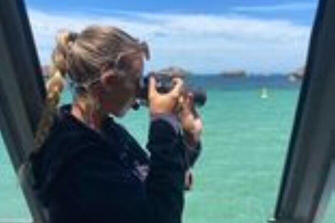 Dolphin, Sea Lion and Penguin Island Cruise - Practical tips that improve your odds fast