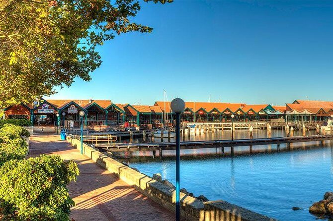 Experience Rottnest with Ferry & Bike Hire - The Basin snorkel time: the upgrade that turns cycling into swimming