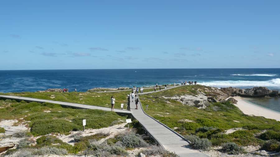 From Fremantle: Rottnest Island Ferry & Bus Day Tour - Quick hits before you go