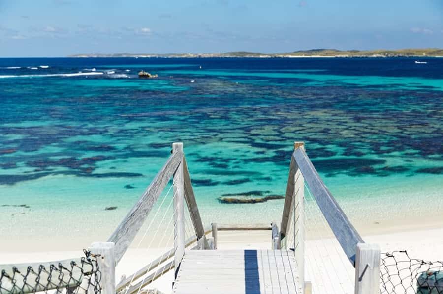 From Fremantle: Rottnest Island Ferry & Bus Day Tour - Small snags to know (without ruining the day)