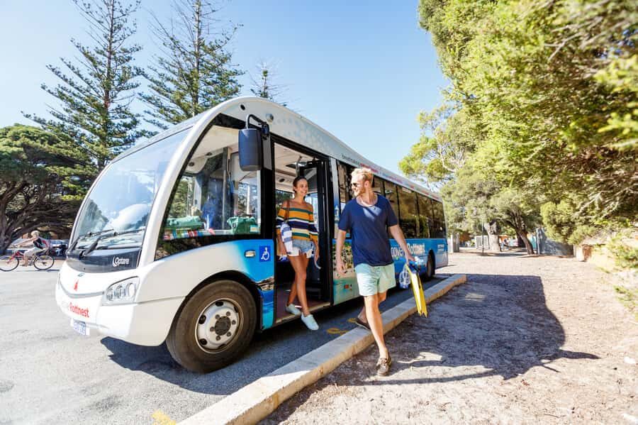 From Fremantle: Rottnest Island Ferry & Bus Day Tour - Why Rottnest Island works so well as a one-day trip