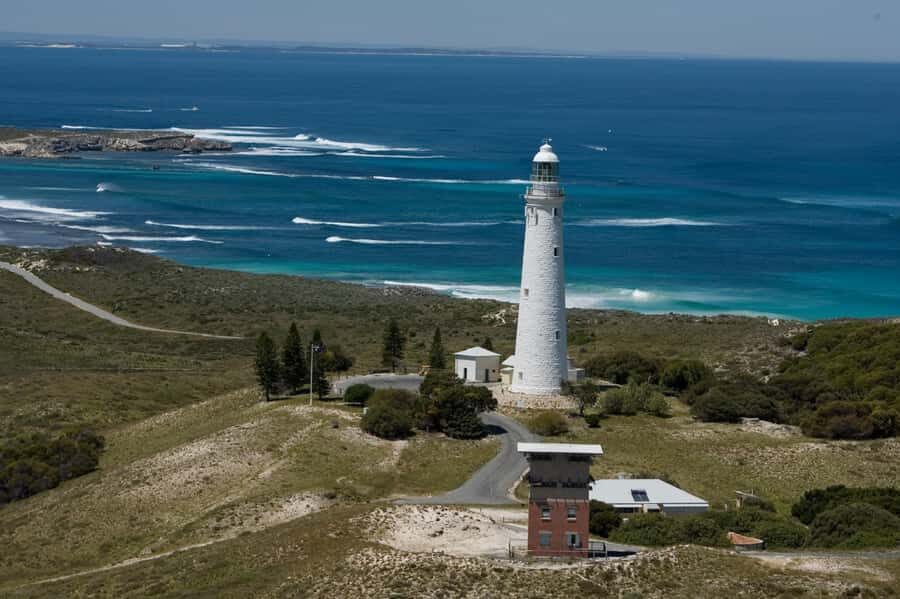 From Fremantle: Rottnest Island Ferry & Bus Day Tour - Free time on Rottnest: quokkas, beaches, and choosing your own tempo