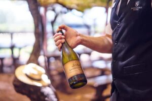 From Perth: Half-Day Tour to Swan Valley - Pickup Times From Perth: How Logistics Shape Your Afternoon
