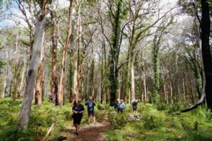 From Perth: Margaret River Region Impression Day Tour - Quick Stops and a Tight Schedule: How the Timing Really Feels