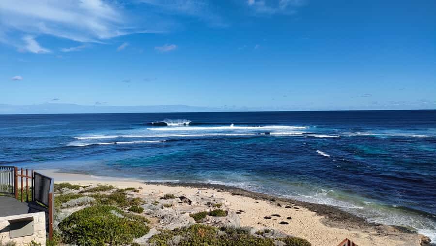 From Perth: Margaret River Region Impression Day Tour - Boranup Forest Walk: Karri and Jarri Shade