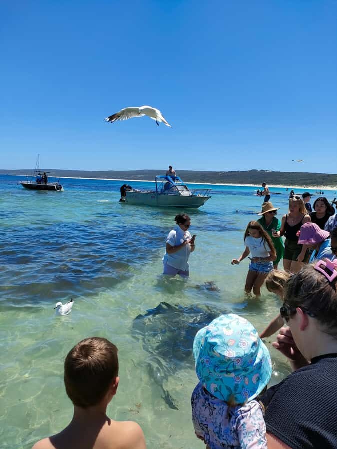 From Perth: Margaret River Region Impression Day Tour - What You Learn With Live Commentary (English and Chinese)