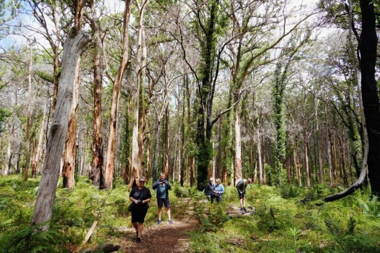From Perth: Margaret River Region Impression Day Tour - Quick Stops and a Tight Schedule: How the Timing Really Feels