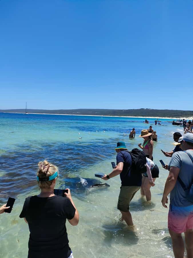 From Perth: Margaret River Region Impression Day Tour - Small-Group Comfort With a 12-Hour Trade-Off