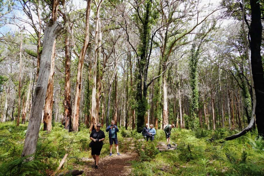 From Perth: Margaret River Region Impression Day Tour - Quick Stops and a Tight Schedule: How the Timing Really Feels