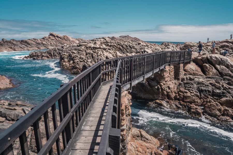 From Perth: Margaret River Wine Tour & Wildlife Cruise - Key things to know before you go