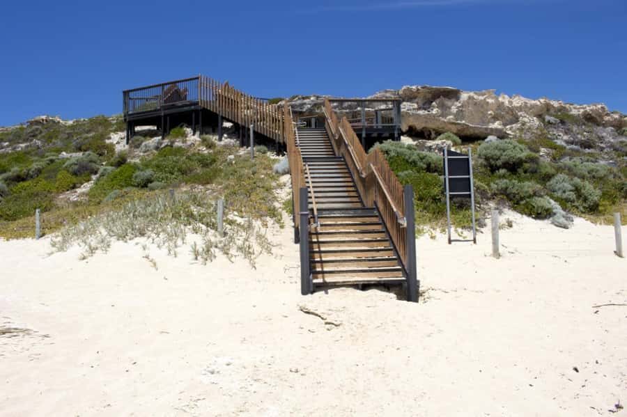 From Perth: Margaret River Wine Tour & Wildlife Cruise - The return north: farmlands, quick walks, and staying ready for the road