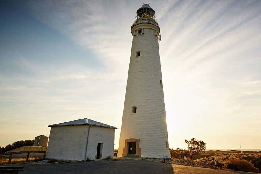 From Perth or Fremantle: Rottnest Island Ferry and Bus Tour - Island Free Time After the Bus: Where You’ll Spend Your Best Hours
