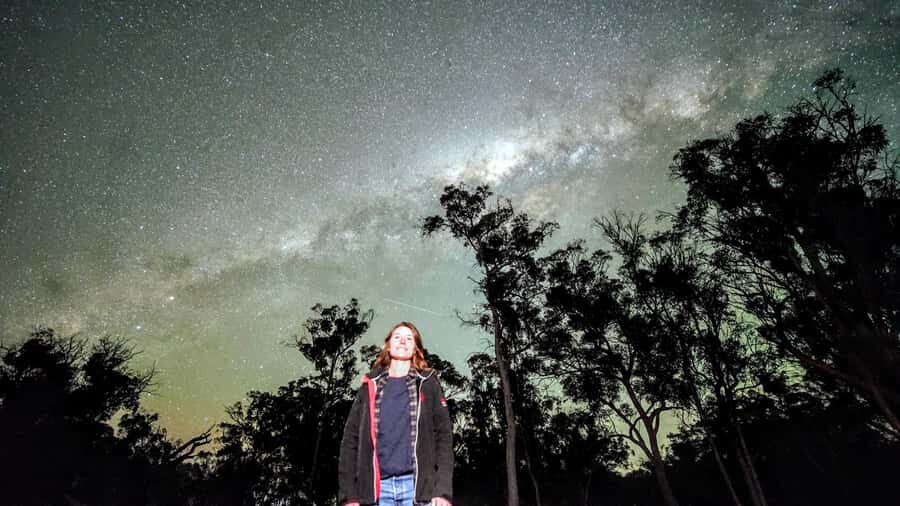 From Perth: Perth Wildlife Tour Under the Stars with Dinner - Quick hits (what makes this tour special)