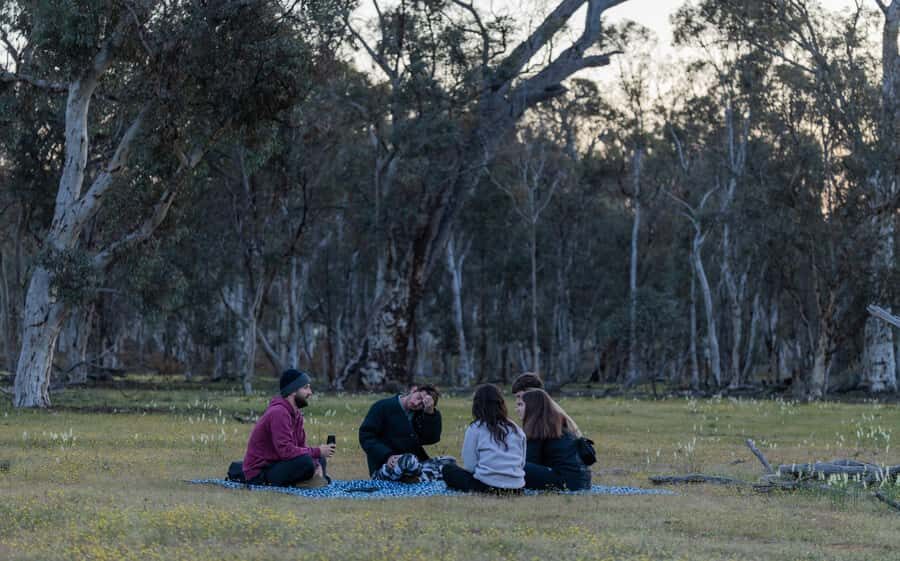 From Perth: Perth Wildlife Tour Under the Stars with Dinner - Stars in Dryandra: stargazing that doesn’t feel staged
