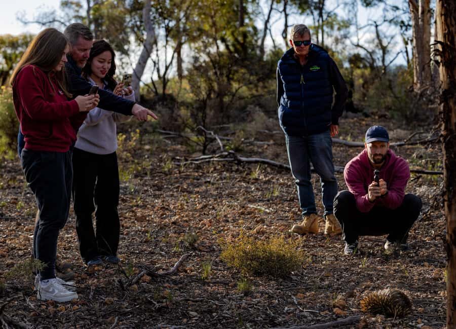 From Perth: Perth Wildlife Tour Under the Stars with Dinner - What to bring (and what rules keep things safe)