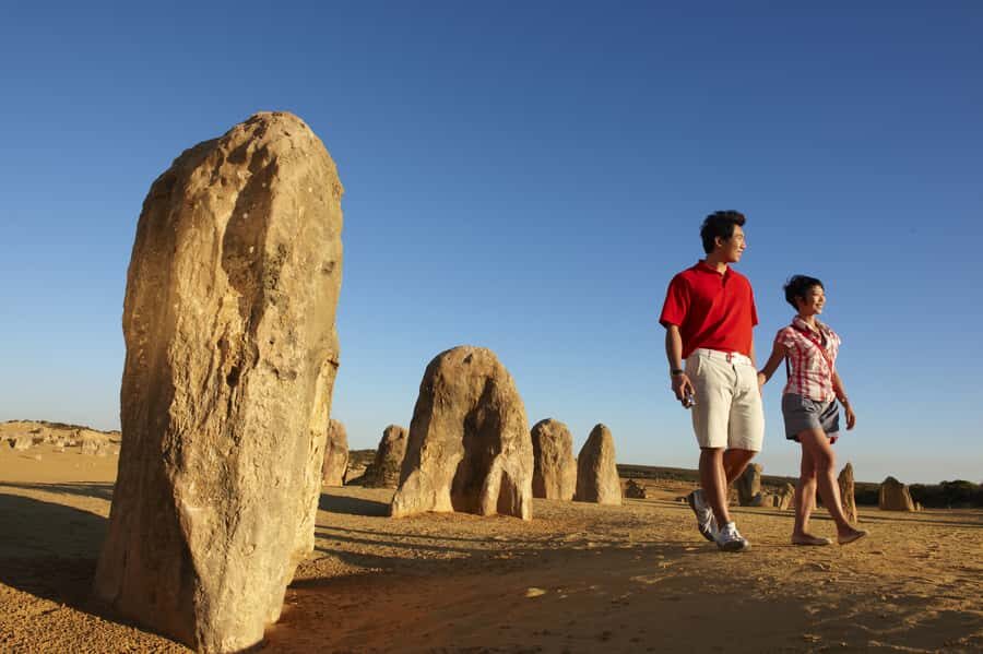 From Perth: Pinnacles Desert, Yanchep & Swan Valley Day Tour - Key highlights you’ll actually feel on the day