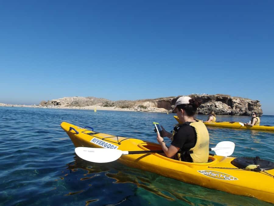 From Perth: Rockingham Seal & Penguin Islands Sea Kayak Tour - Key things that make this Rockingham seal and penguin kayak day worth your time