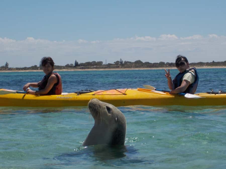From Perth: Rockingham Seal & Penguin Islands Sea Kayak Tour - Getting to Shoalwater Bay from Perth without it turning into a slog