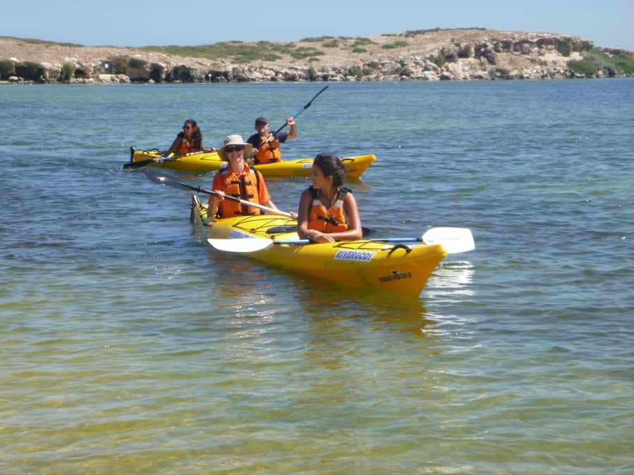 From Perth: Rockingham Seal & Penguin Islands Sea Kayak Tour - Who this tour is best for (and who should think twice)