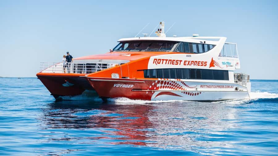 From Perth: Rottnest Island Ferry & Bus Day Tour - Quokkas and wildlife: what you should expect to actually see