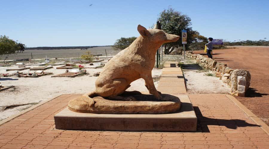 From Perth: Wave Rock, York and Aboriginal Cultural Tour - Key things that make this trip worth your time