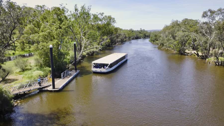Full-Day Swan Valley Wineries with Lunch and River Cruise - Key highlights worth planning around