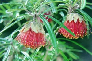 Full-Day Yanchep National Park, Cave & Hillarys - Crystal Cave: the cool-ticket stop that feels worth the effort