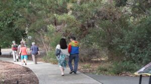 Half-Day Morning Perth & Fremantle City Explorer - Perth CBD Highlights: Riverfront, Bells, and Big-City Energy